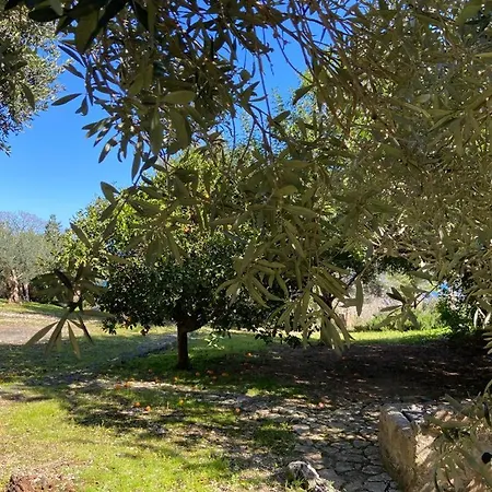 The Ancient Sicilian House Near Zingaro Reserve Scopello Holiday home Scopello (Sicily)