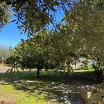 The Ancient Sicilian House Near Zingaro Reserve Дом отдыха Скопелло