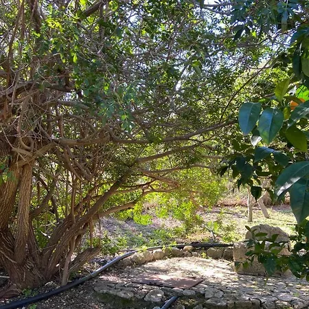 The Ancient Sicilian House Near Zingaro Reserve Дом отдыха Скопелло