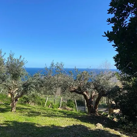 The Ancient Sicilian House Near Zingaro Reserve Scopello